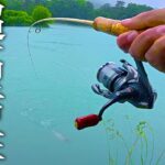 大雨の中、巨大魚ひしめく管釣りの聖地で釣りをすると...【エリアトラウト】【管理釣り場】【鹿島槍ガーデン】