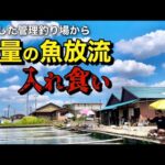閉園した管理釣り場から大量のヘラブナが放流されて入れ食い状態！【弁天閣】