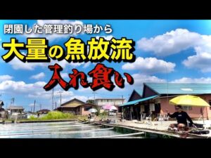 閉園した管理釣り場から大量のヘラブナが放流されて入れ食い状態!【弁天閣】