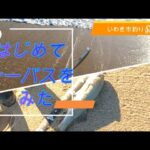 いわき市釣り　#沼ノ内海岸 #小名浜港　はじめてシーバスをみた！