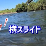 【アーマードの横スライドで鮎を掛ける】九頭竜川中部　鮎釣り