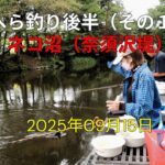 へら釣り後半（その１）ネコ沼（奈須沢提）