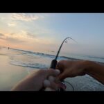 【朝マズメルアーフィッシング】ベイトだらけの海にメタルジグを投げ込んでみたら①