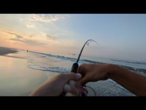 【朝マズメルアーフィッシング】ベイトだらけの海にメタルジグを投げ込んでみたら①