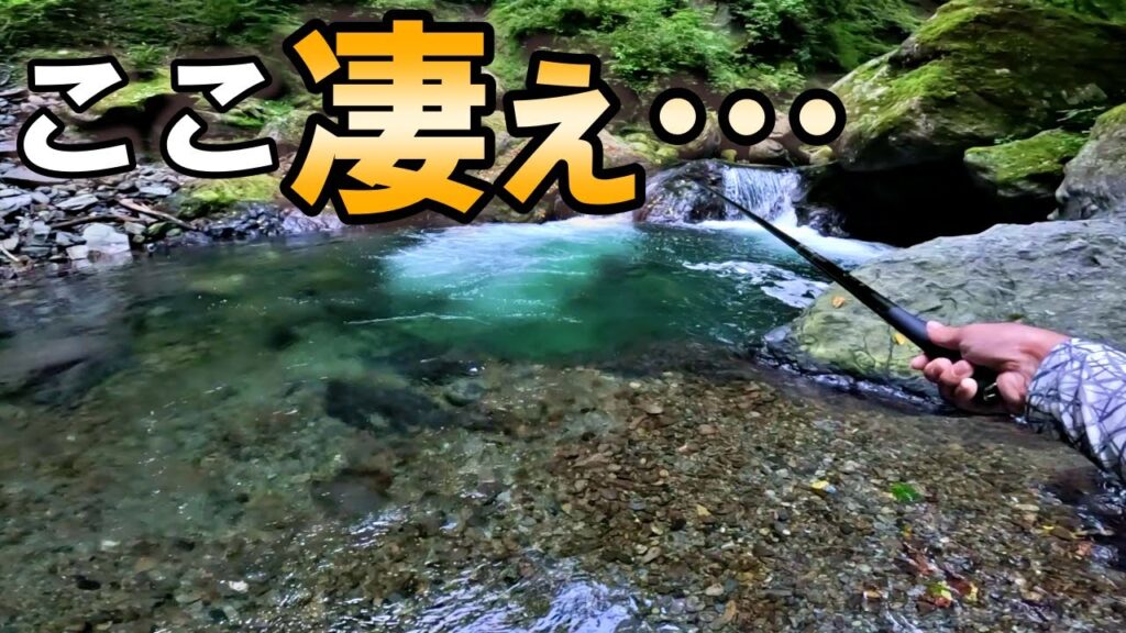 源流で初めての場所から入渓したらとんでもない場所だった！
