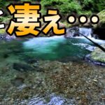 源流で初めての場所から入渓したらとんでもない場所だった！