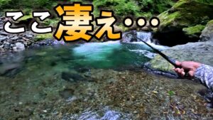 源流で初めての場所から入渓したらとんでもない場所だった!