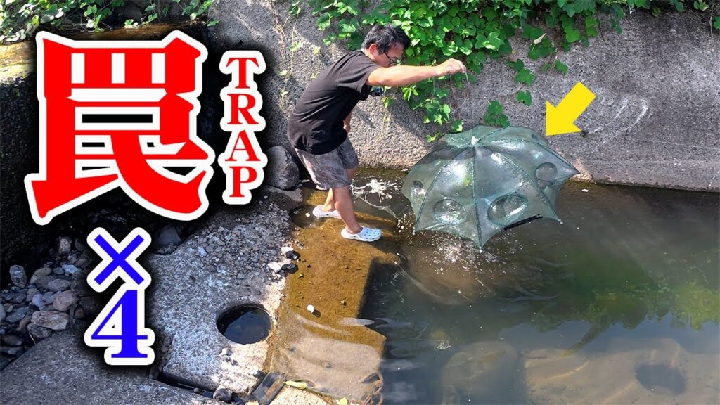 山奥の川に罠を仕掛けたら…