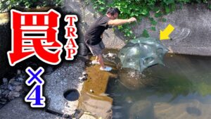 山奥の川に罠を仕掛けたら…