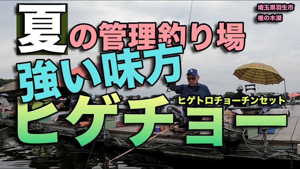 夏の管理釣り場の強い味方ヒゲチョー（ヒゲトロチョーチンセット）