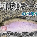 【渓流釣り】のべ竿‼️渓流に潜む大型魚‼️自然のエリアトラウト‼️【富士頂純サーモン】【エリアトラウト・管理釣り場】