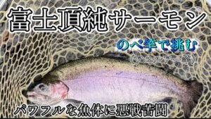 【渓流釣り】のべ竿‼️渓流に潜む大型魚‼️自然のエリアトラウト‼️【富士頂純サーモン】【エリアトラウト・管理釣り場】