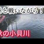 【小貝川バス釣り】いやっ夏ですよ気温も水温も