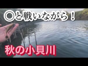 【小貝川バス釣り】いやっ夏ですよ気温も水温も