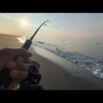 【浜名湖近郊遠州サーフ】朝マズメルアーフィッシング🎣味をしめたのでまた次の日②