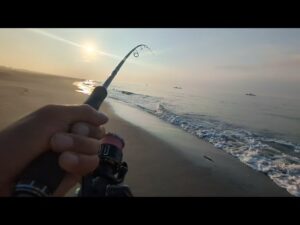 【浜名湖近郊遠州サーフ】朝マズメルアーフィッシング🎣味をしめたのでまた次の日②
