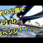 【浜名湖】海釣り公園でアジ釣り✨リベンジ‼️