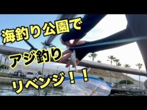 【浜名湖】海釣り公園でアジ釣り✨リベンジ‼️