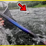 鮎釣り 謎の大物に引きずられて川下りをした魚野川釣行