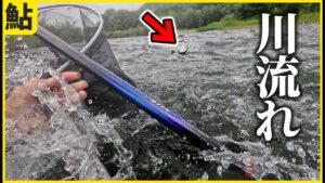 鮎釣り 謎の大物に引きずられて川下りをした魚野川釣行