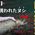 【神回】　岩手県渓流釣り　大堰堤に潜むヌシ。ついに現れた巨大イワナ‼️怪物降臨‼️