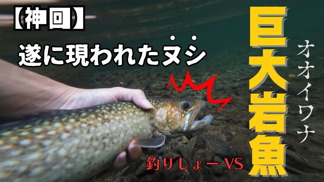 【神回】　岩手県渓流釣り　大堰堤に潜むヌシ。ついに現れた巨大イワナ‼️怪物降臨‼️