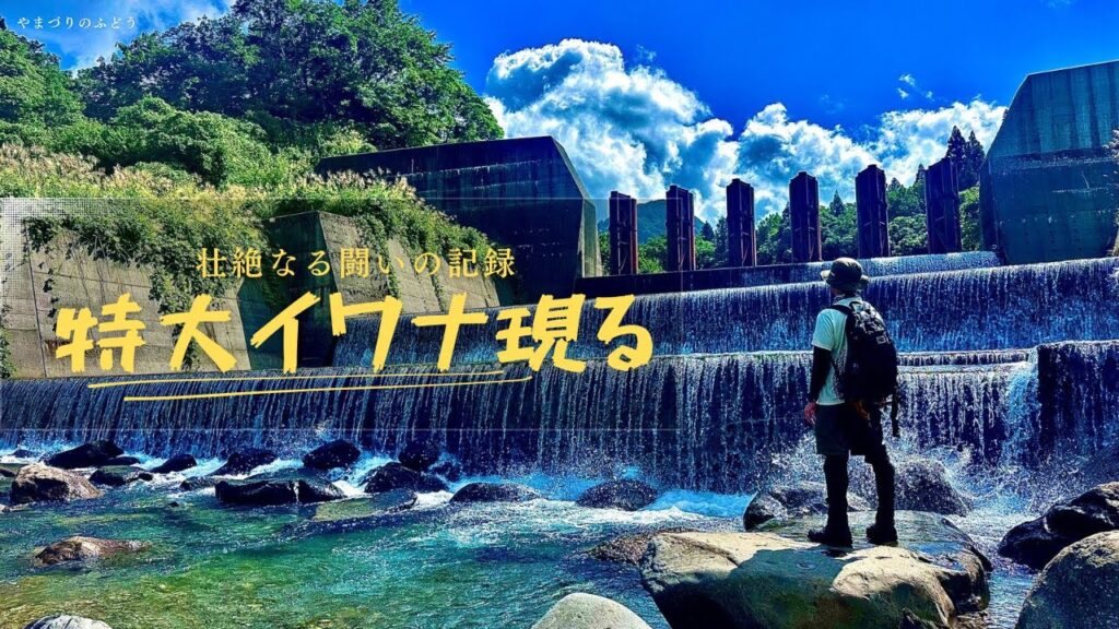 【渓流釣り】大イワナ達と対峙した記録。その中にいた怪物の正体は。