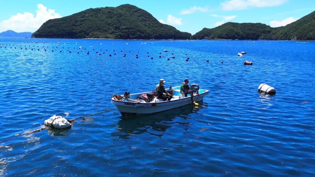 様々な大物が潜む海で「とある怪物」を狙ってかぶせ釣りしてみたら…