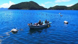 様々な大物が潜む海で「とある怪物」を狙ってかぶせ釣りしてみたら…