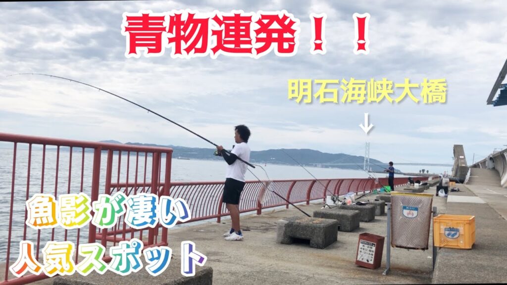 【神戸海釣り公園　青物連発】今明石で青物がアツイ！！ノマセとショアジギング釣行編！　　　武庫川一文字　大阪湾　アジュール舞子