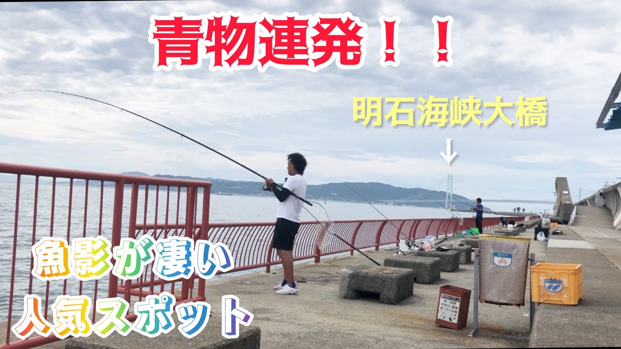 【神戸海釣り公園　青物連発】今明石で青物がアツイ！！ノマセとショアジギング釣行編！　　　武庫川一文字　大阪湾　アジュール舞子