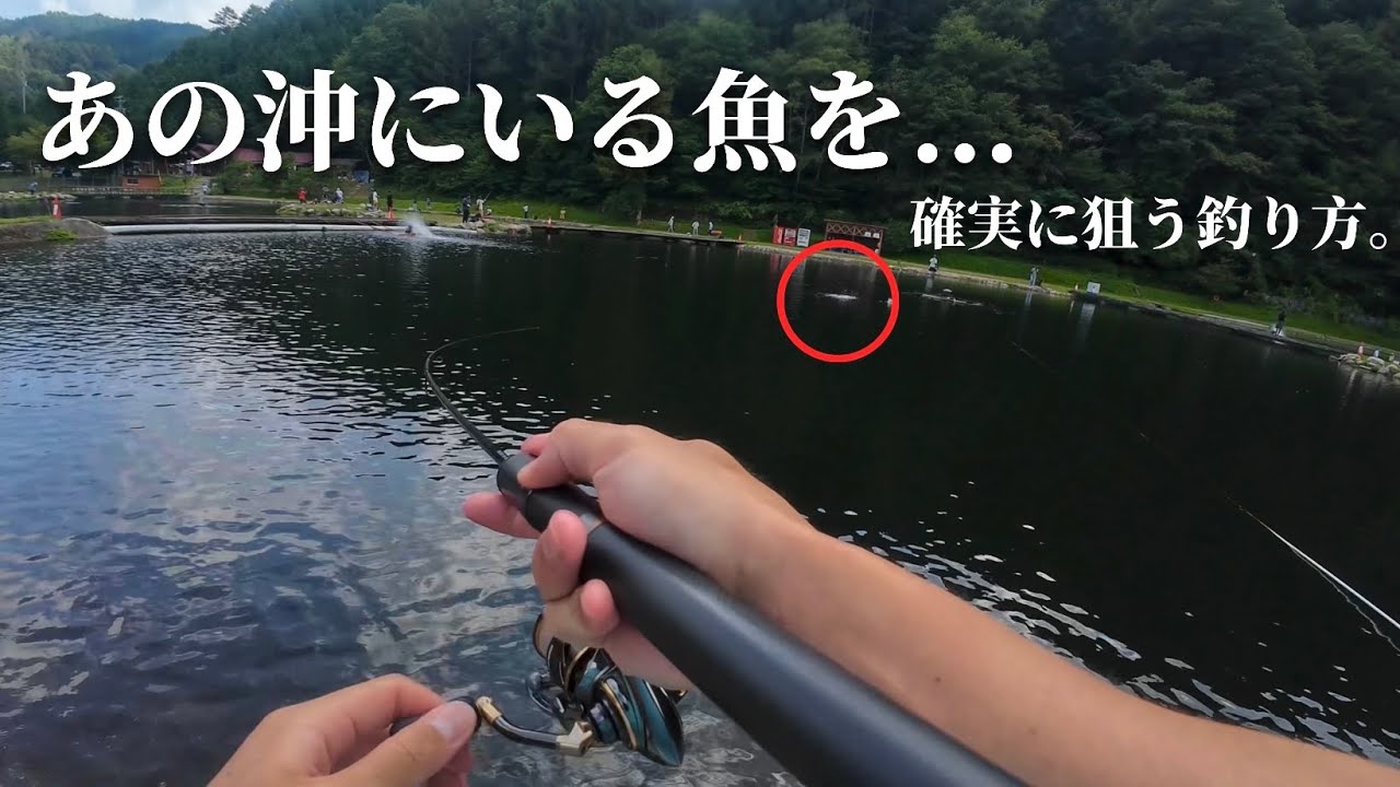 あの沖にいる魚を...確実に狙う釣り方はこれ！【エリアトラウト】【管理釣り場】【平谷湖フィッシングスポット】