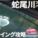 超大型魚が潜む管理釣り場をミノーだけで攻略してみた【蛇尾川フィッシングパーク】【エリアトラウト】