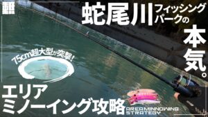 超大型魚が潜む管理釣り場をミノーだけで攻略してみた【蛇尾川フィッシングパーク】【エリアトラウト】