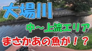 【ルアー釣り】埼玉県吉川市を流れる大場川で釣りしたら思わぬ結果になった...
