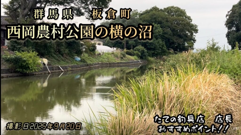 西岡農村公園の横の沼で淡水五目釣り！まさか美へらに感激！