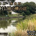 西岡農村公園の横の沼で淡水五目釣り！まさか美へらに感激！