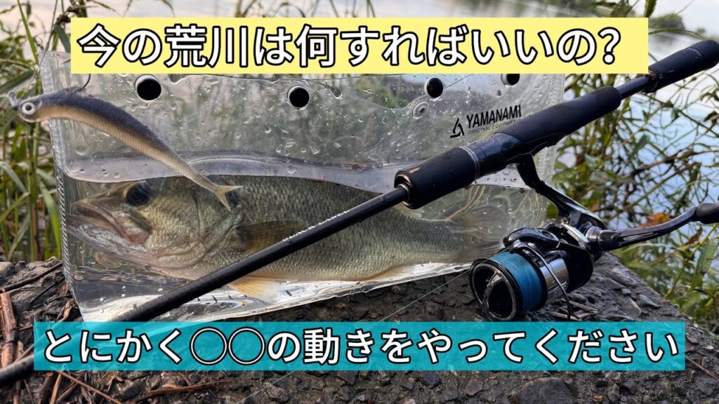 【荒川バス釣り】結局はあなた次第ですのお知らせ