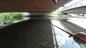 諏訪湖で魚釣り！