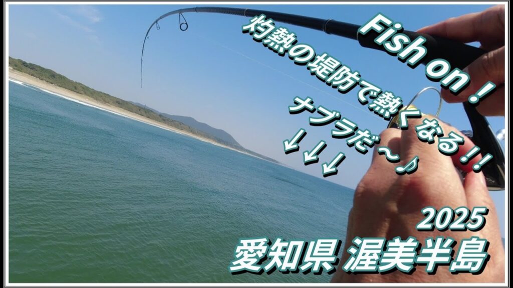 大物ロマンに熱くなる！ 大人気の堤防でエサもルアーも投げてみた！！ 【 ソルトルアー サビキ 海釣り 】