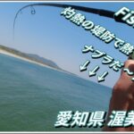 大物ロマンに熱くなる！ 大人気の堤防でエサもルアーも投げてみた！！ 【 ソルトルアー サビキ 海釣り 】