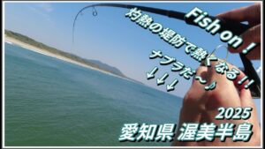 大物ロマンに熱くなる！ 大人気の堤防でエサもルアーも投げてみた！！ 【 ソルトルアー サビキ 海釣り 】