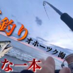 【鮭釣り】オホーツク海に参戦！渾身の…貴重な一撃！