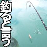 まず釣るという意思(エリアトラウト、管理釣り場初心者)ソロプレイ