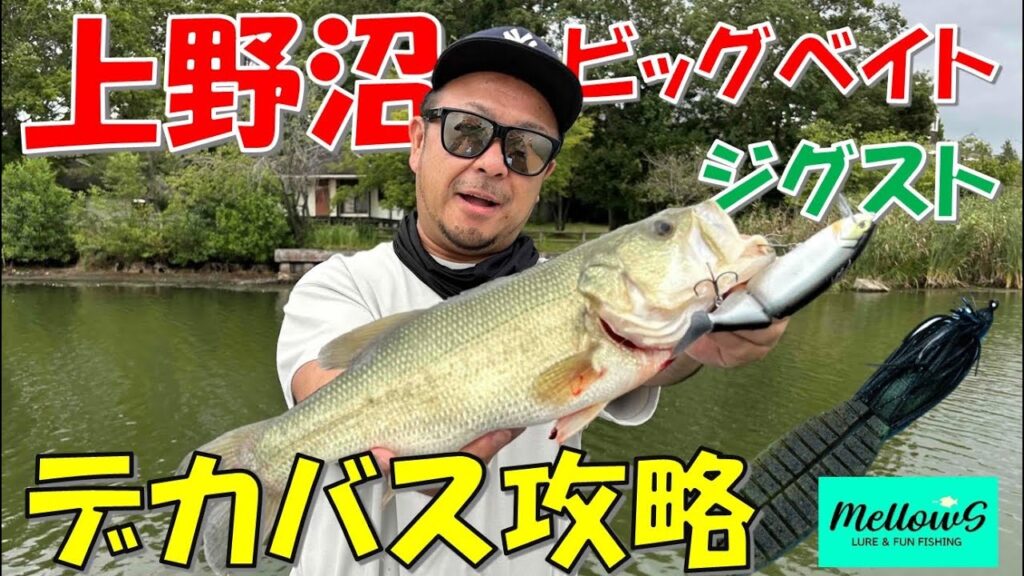 【上野沼】ビッグベイト＆ジグストで減水の上野沼を釣る