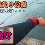 【浜名湖】久しぶりに海釣り公園行ったら大変なことになりました・・・