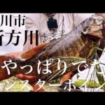 【バス釣り】あの伝説のポイントを徹底調査！新方川最下流【スモールマウスバス】