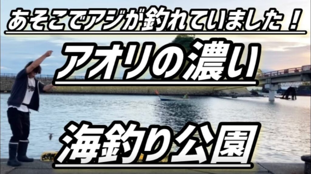 【アオリたくさんいますね！アジも！！】ヤエン釣り【若狭高浜海釣り公園】新子調査　福井県