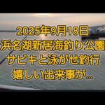 浜名湖新居海釣り公園　サビキと泳がせ　渋い釣果でも嬉しい出来事🎵