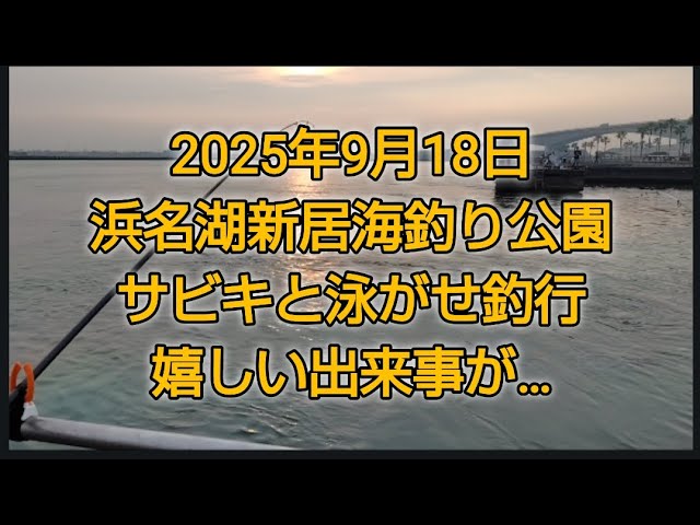 浜名湖新居海釣り公園　サビキと泳がせ　渋い釣果でも嬉しい出来事🎵